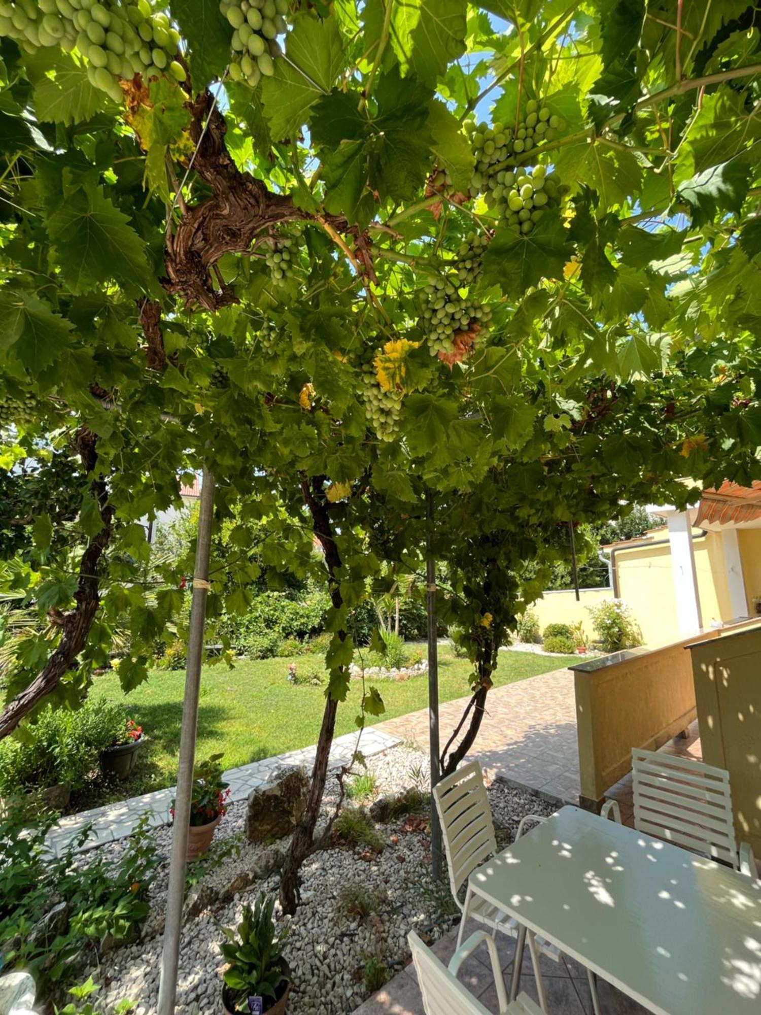 Apartments And Rooms Markovski Palit Экстерьер фото